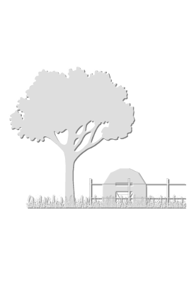 Rural, par Xavier E. G. Dierick